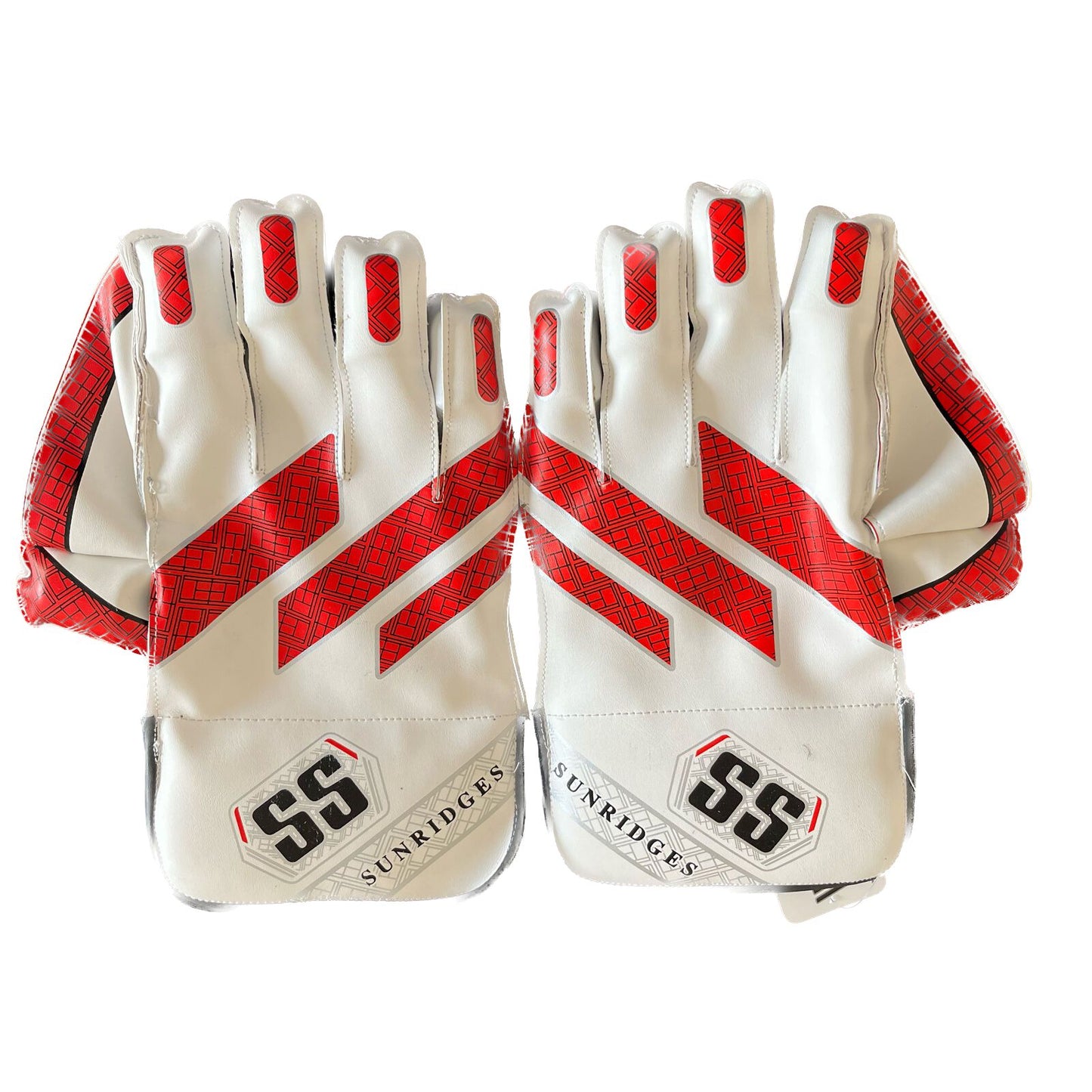 SS Dragon Wicket Keeping Gloves