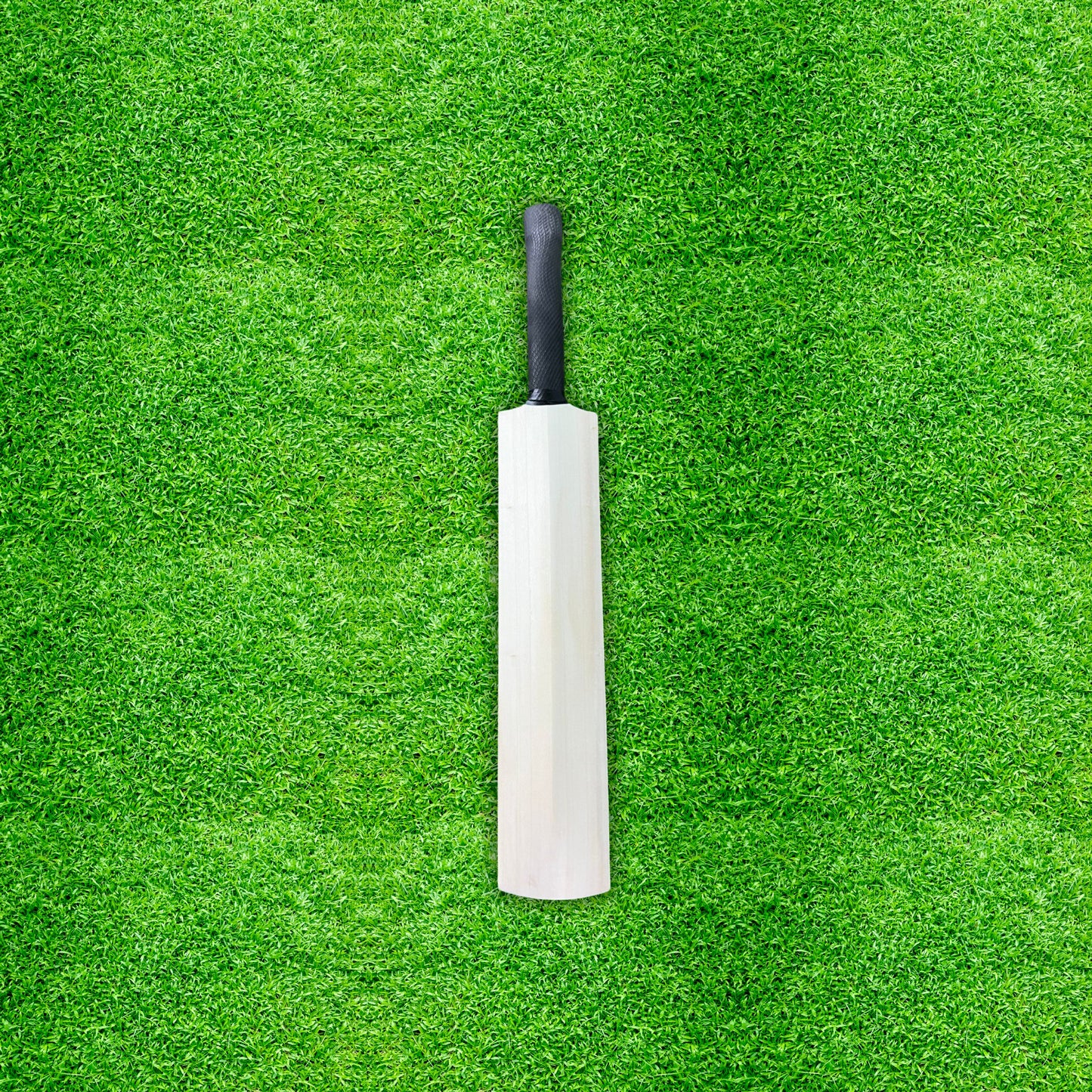 CA Autograph Cricket Bat 18"