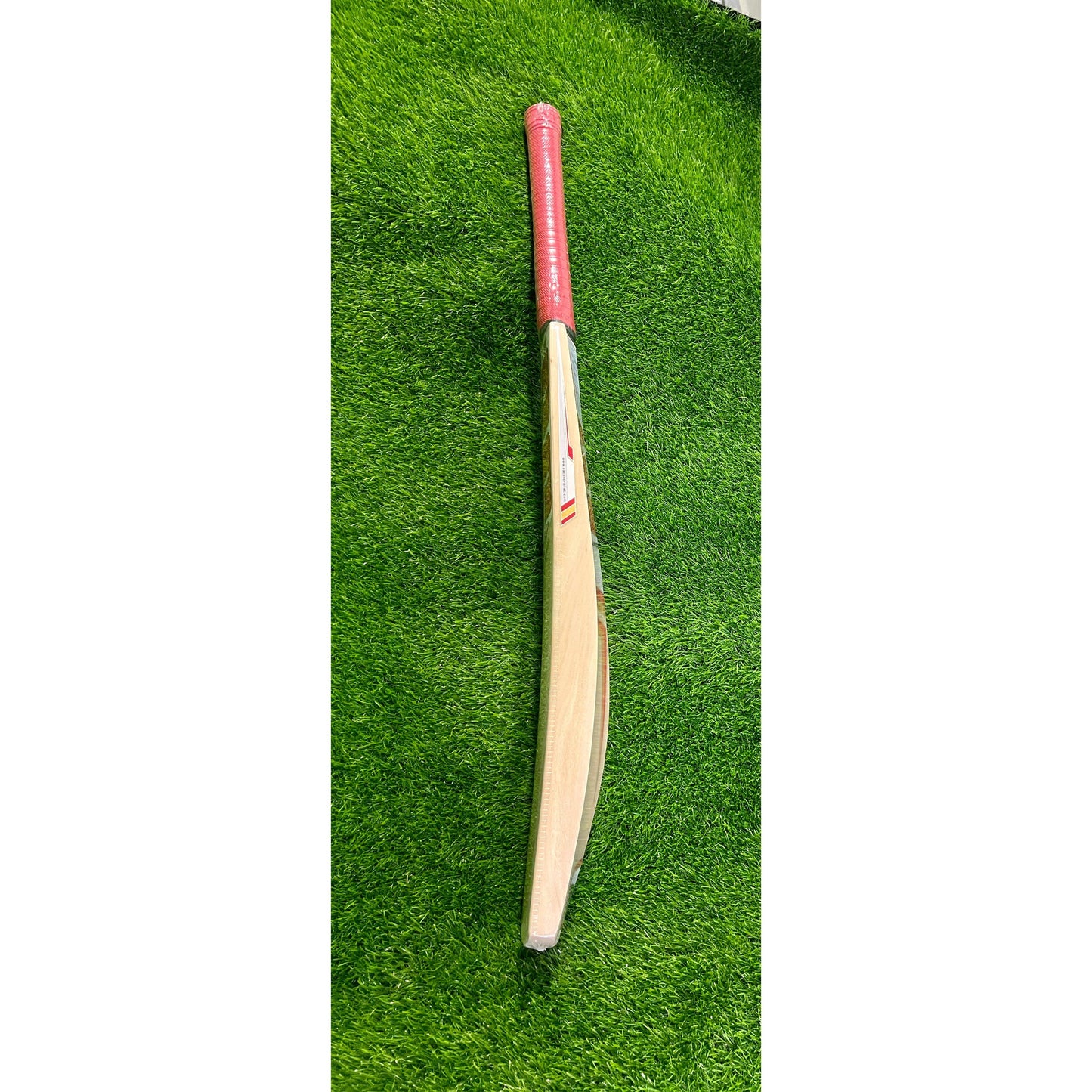 SS SKY Super Kashmir Willow Cricket Bat - SH