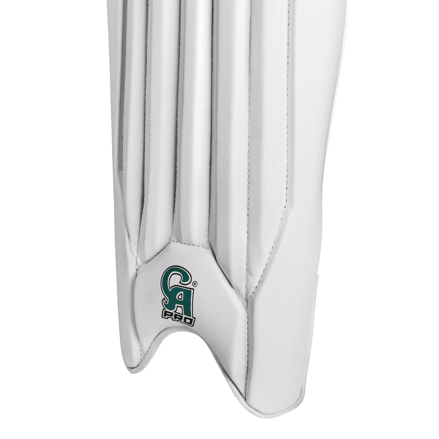 CA Pro 10000 Wicket Keeping Leg Guard