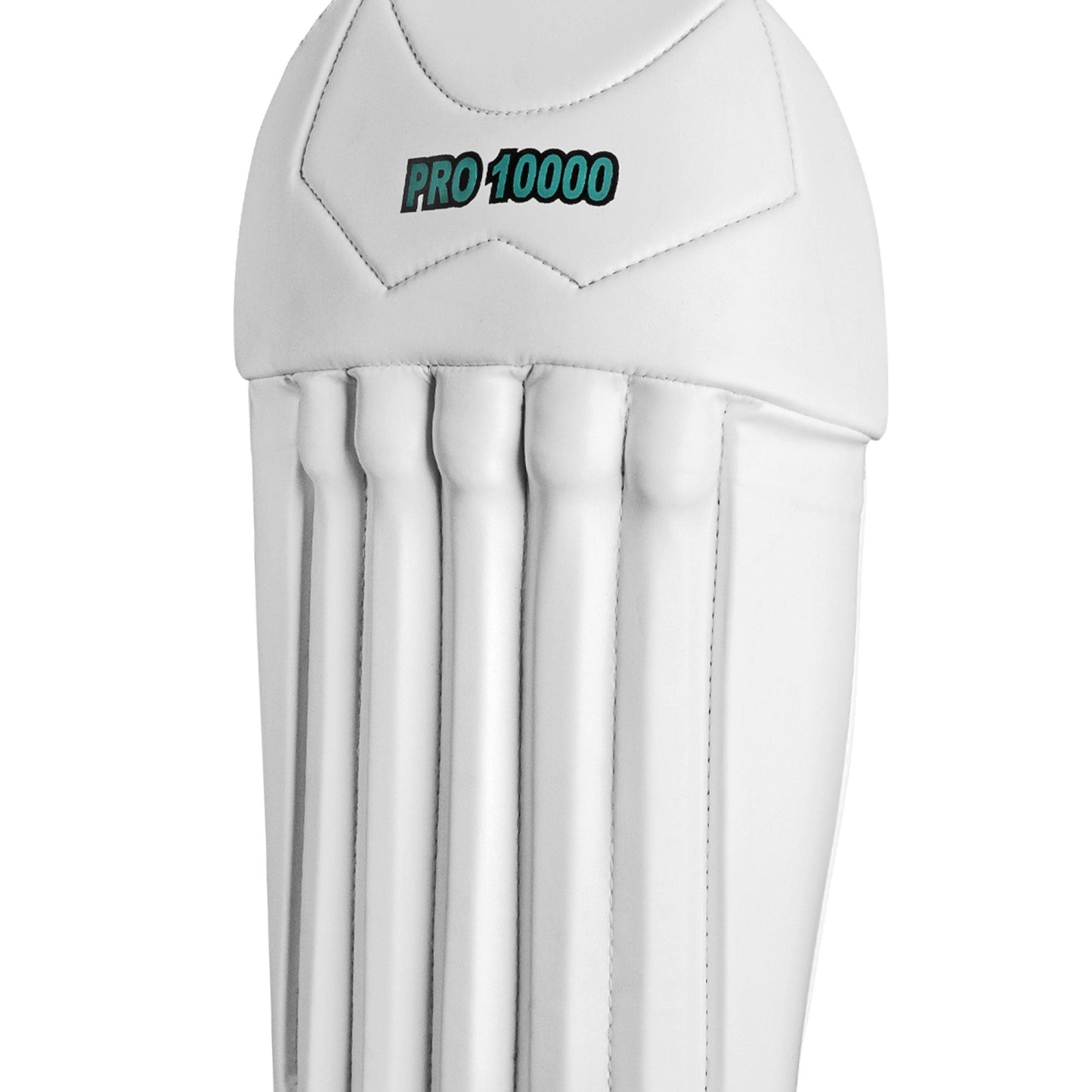 CA Pro 10000 Wicket Keeping Leg Guard