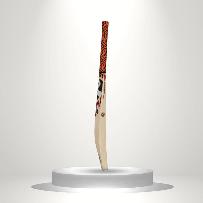 SG Roar English Willow Cricket Bat- SH