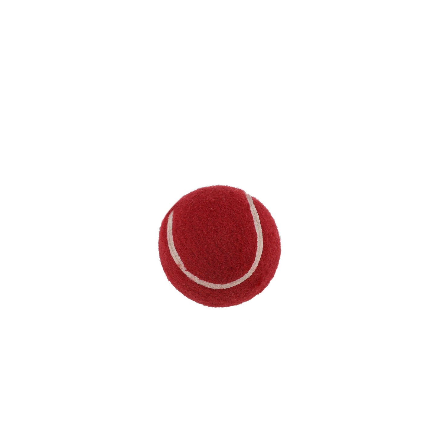 SS Mini Cricket Set
