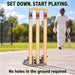 CA spring back cricket stumps product image 4