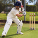 CA spring back cricket stumps product image 5