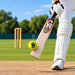 CA Plus 20K tennis cricket ball with bat on cricket field
