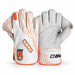 CA Pro 5000 Men's Wicket Keeping Gloves - image 1