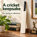CA mini autograph cricket bat for display and collections