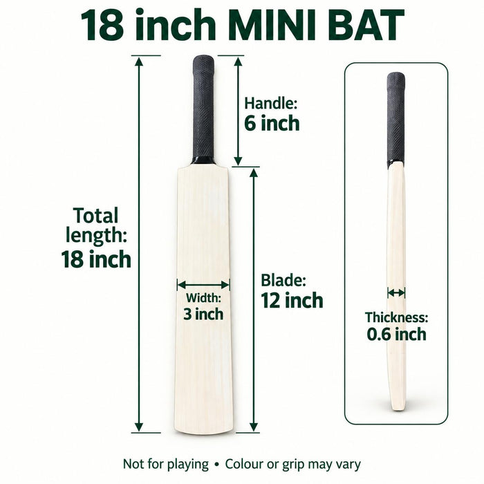 CA 18 inch mini autograph bat dimensions and measurements