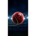 SG Spark Heavy Red Tennis Cricket Ball - product information