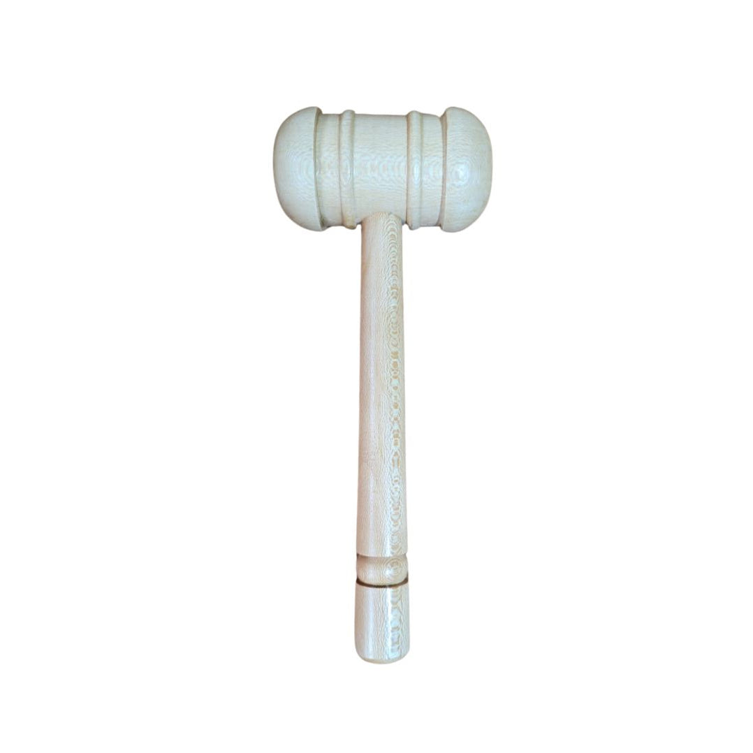 Cricket Mallet in Hand