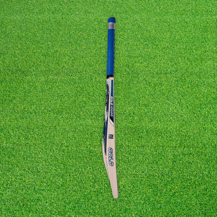 CA Gold 10000 English Willow Cricket Bat - SH