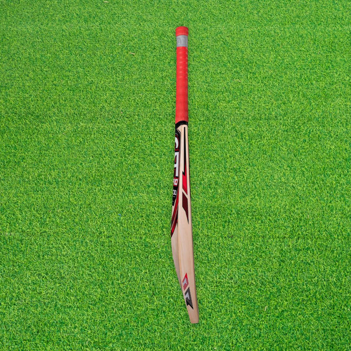 CA PRO 12000 English Willow Cricket Bat - SH