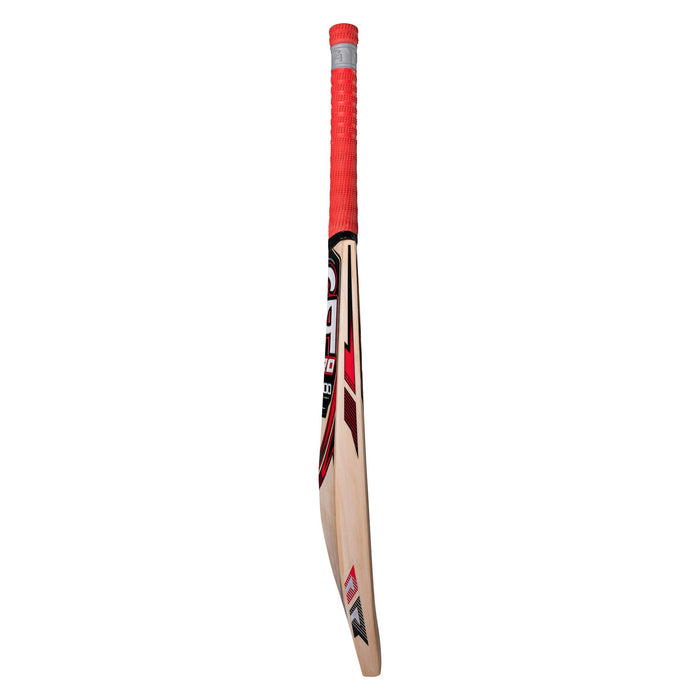 CA PRO 12000 English Willow Cricket Bat - SH