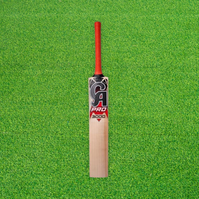 CA Pro 3000 English Willow Cricket Bat - SH