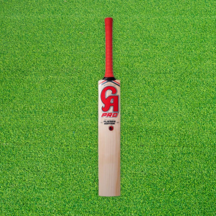 CA Pro Player Edition English Willow Cricket Bat - SH