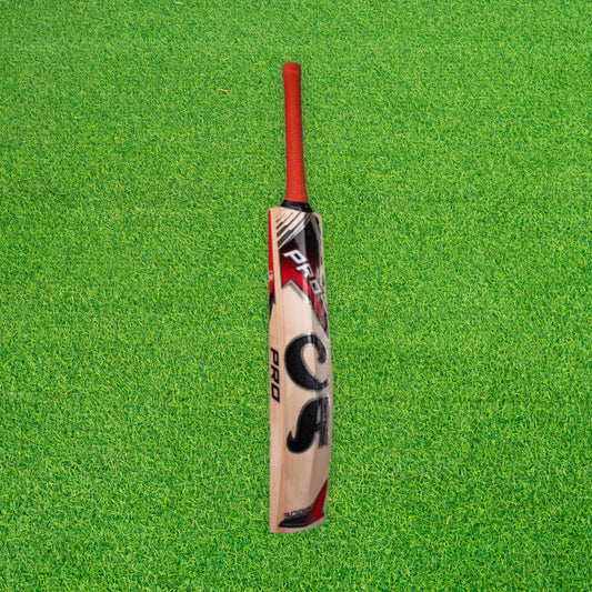 CA Pro 3000 English Willow Cricket Bat - SH
