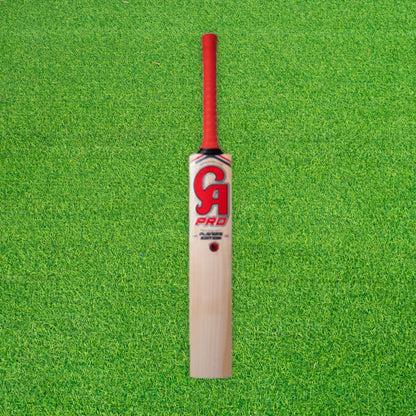 CA Pro Player Edition English Willow Cricket Bat - SH