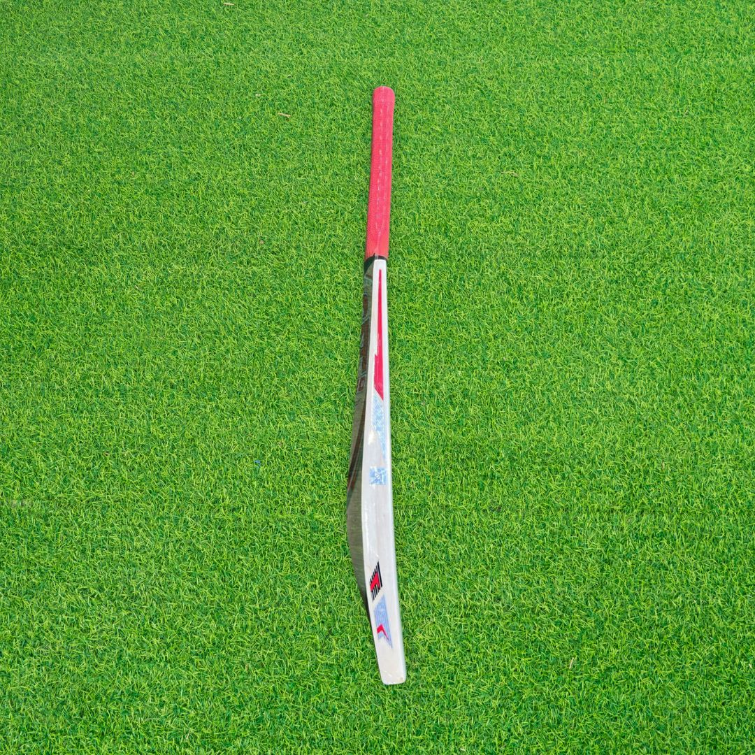 CA Pro Player Edition English Willow Cricket Bat - SH