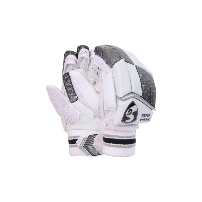 SG Skipper English Willow Cricket Kit for Adult