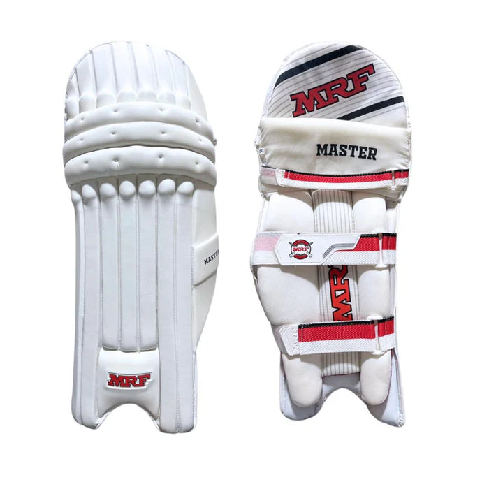 Cricket Arabia Starter Kit Kashmir Willow Cricket Adult Kit Set, Complete with Accessories, Bat, Kit Bag, Gloves, Guards
