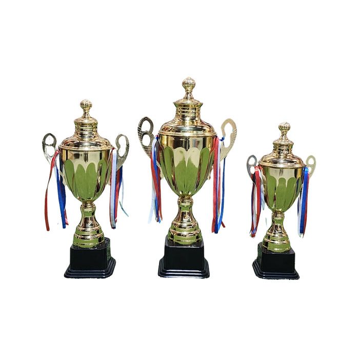 Cricket Arabia Trophy Set - 3PCs