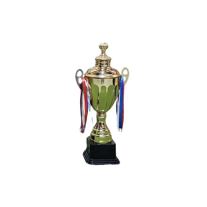 Cricket Arabia Trophy Set - 3PCs