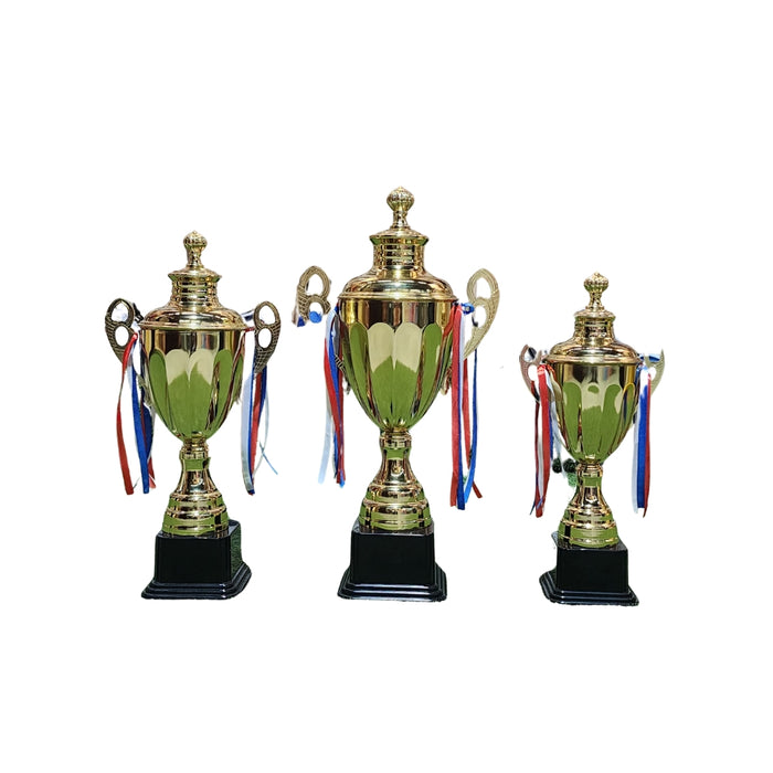 Cricket Arabia Trophy Set - 3PCs