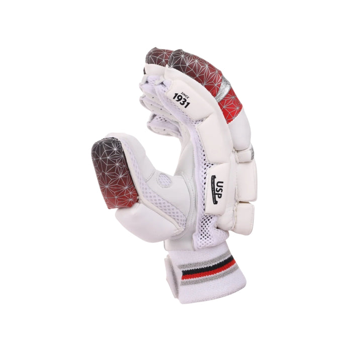 SG Test Cricket Batting Gloves Mens
