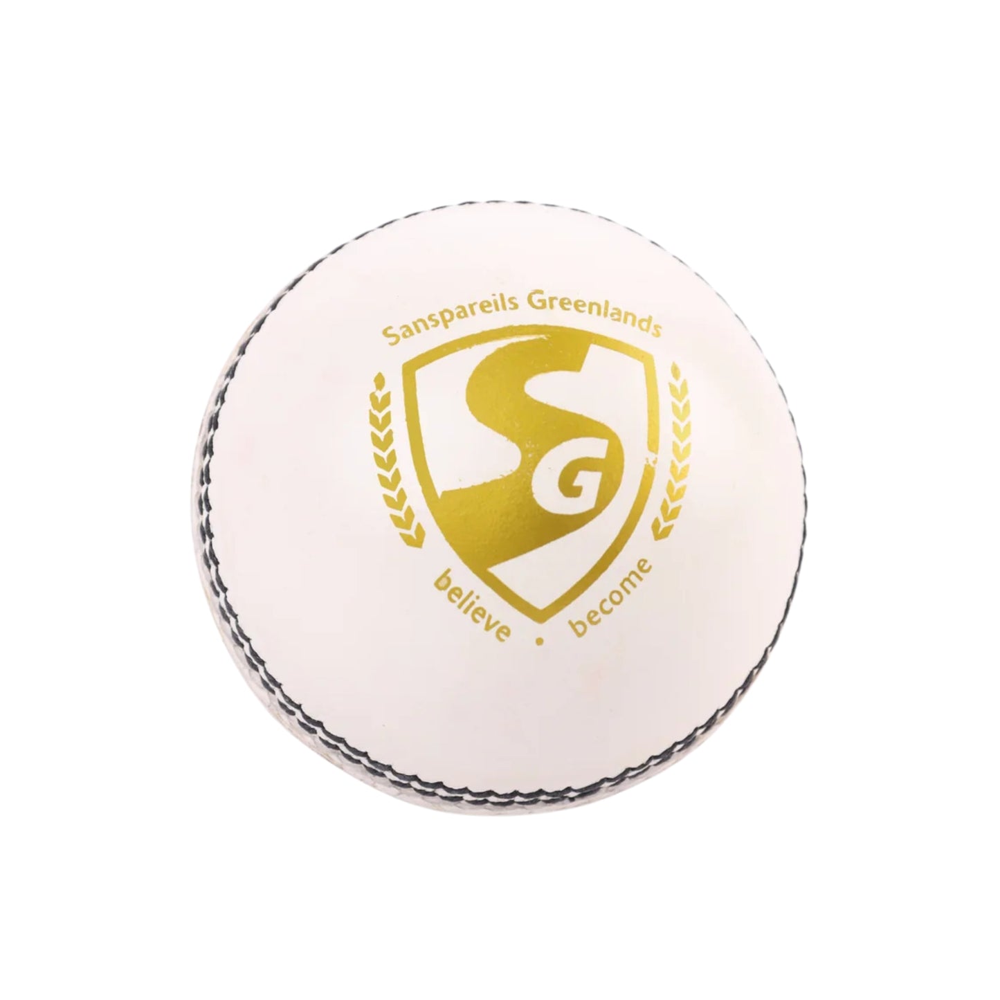 SG Shield 20 White Cricket Leather Ball