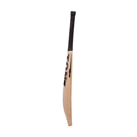SS Ton Blaster Kashmir Willow Cricket Bat - SH