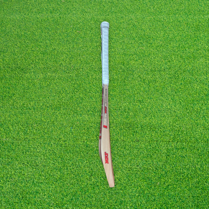 MRF Titan Premium Indian Willow Cricket Bat - SH