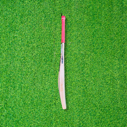 SS TON Range Elite English Willow Cricket Bat - SH