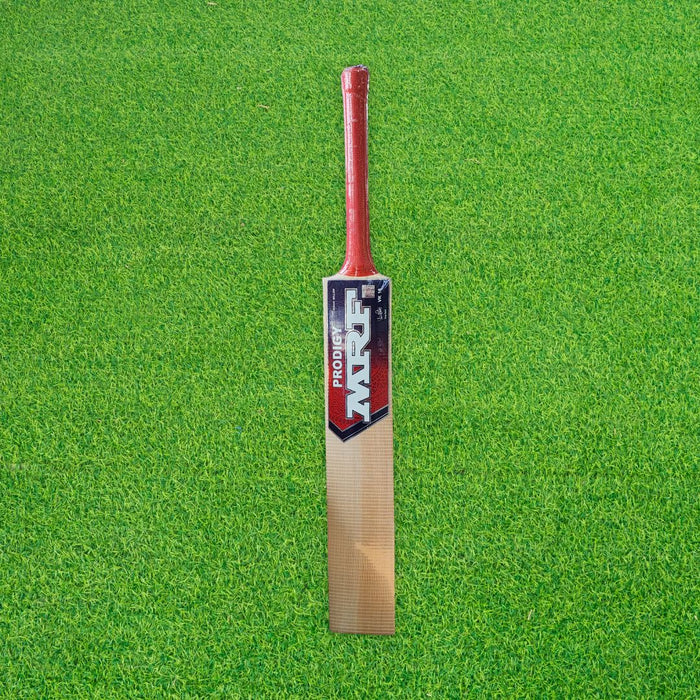 MRF Prodigy Kashmir Willow Cricket Bat - Junior Size 5 (Five)
