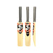 SG Autograph Mini Bat