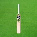 SG HP Impulse Hybrid English Willow Cricket Bat - SH