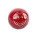 SG Shield 20 Red Cricket Leather Ball