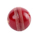 SG Shield 30 Red Cricket Leather Ball