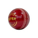 SG Super Red Cricket Leather Ball