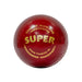 SG Super Red Youth Cricket Leather Ball