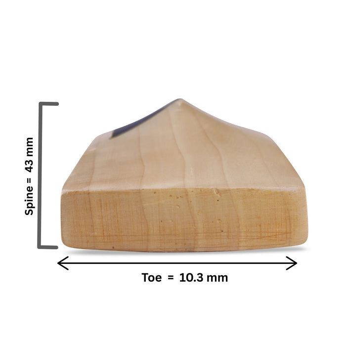 SG Triple Crown Icon English Willow Cricket Bat- SH