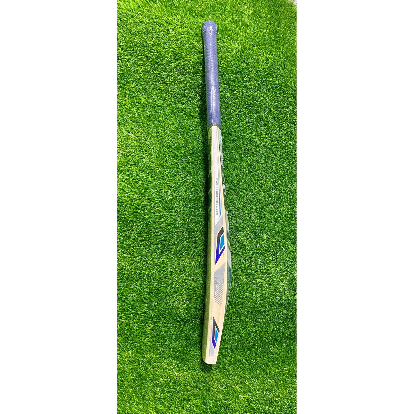 SS SKY Striker English Willow Cricket Bat - SH