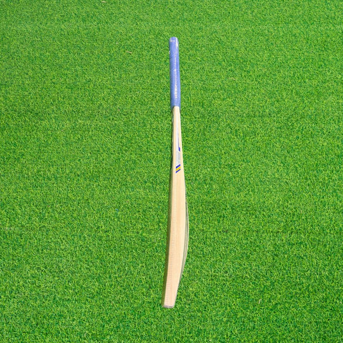 SS SKY Stunner Kashmir Willow Cricket Bat - SH