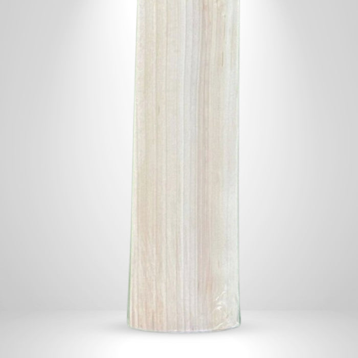 SS TON Master Range Master 1000 English Willow Cricket Bat - SH
