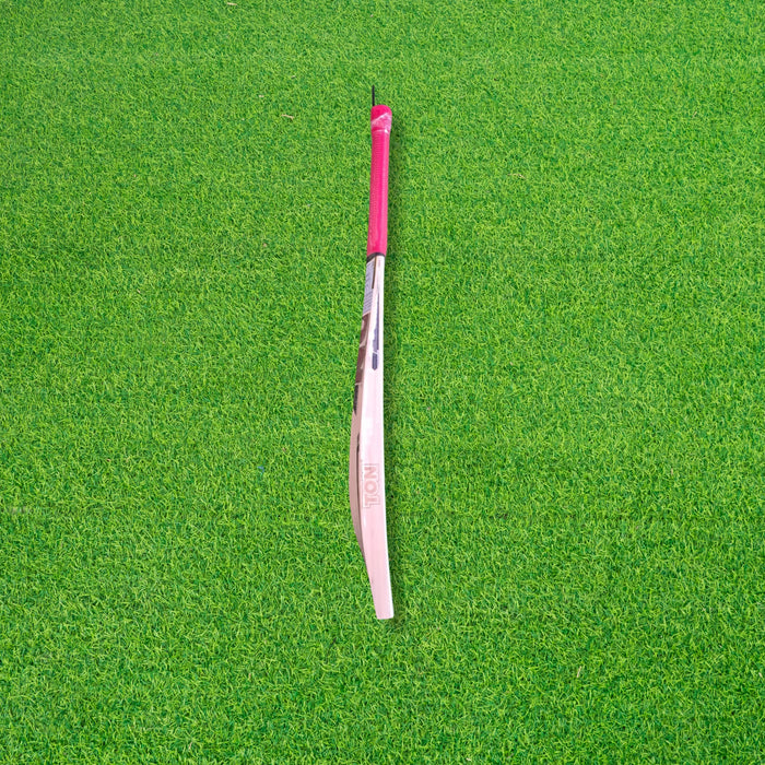 SS Ton Power Plus English Willow Cricket Bat - SH