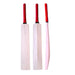 CA 33.5 inch full size unsigned autograph cricket bat shown in multiple product views