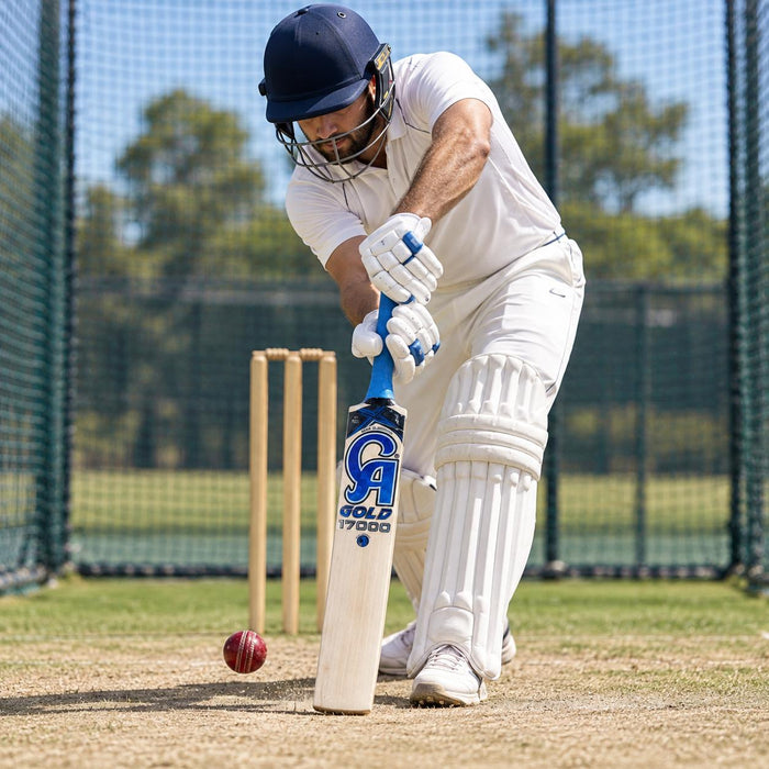 CA Gold 17000 cricket bat used for batting practice