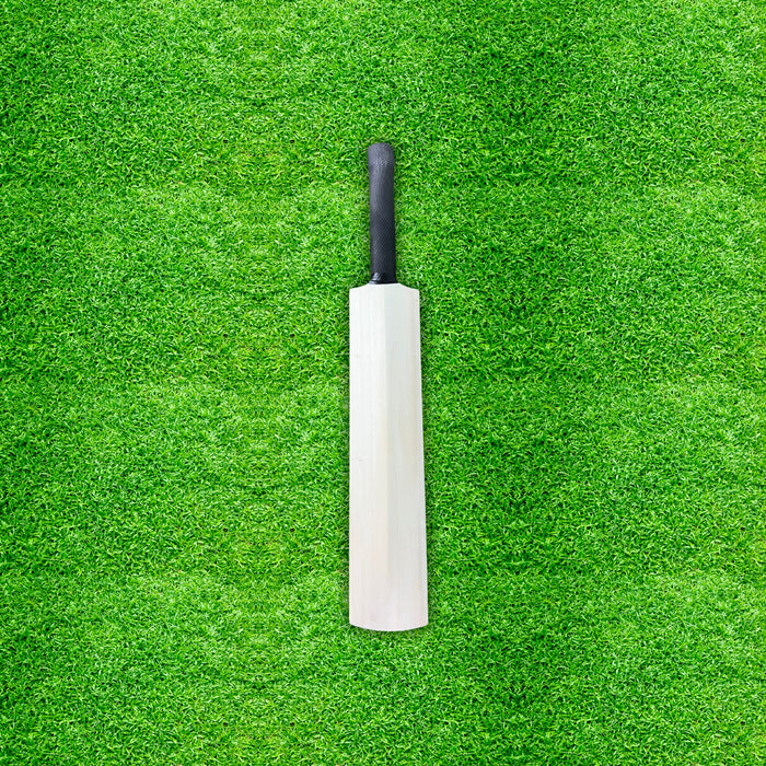 CA 18 inch mini unsigned autograph cricket bat product photograph 3