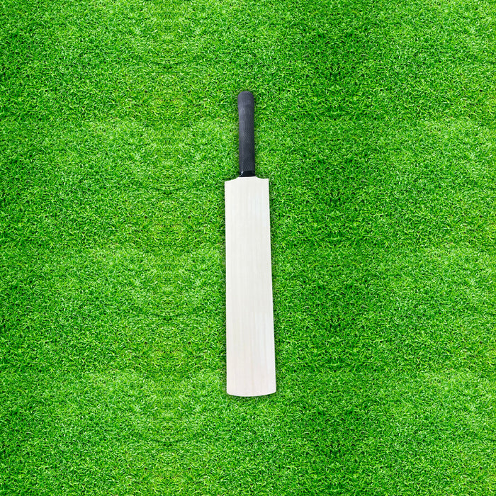 CA 18 inch mini unsigned autograph cricket bat product photograph 4