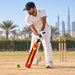 CA NJ-5000 cricket bat used for batting practice